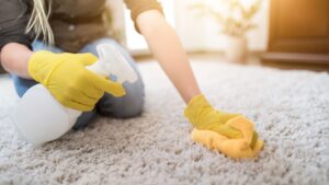 How to Clean Urine from Carpet