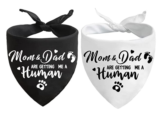 pregnancy reveal to husband ideas: Mom&Dad are Getting me a Human Bandana